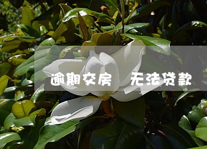 逾期交房 无法贷款 逾期交房 无法贷款